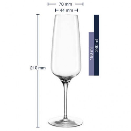 Verre à Champagne 240ml CESTI