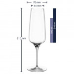 Verre à Champagne 240ml CESTI