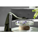 Coupe sur socle LEGNO